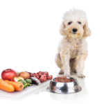 BARF stravovanie psa. Na čo si dávať pozor?